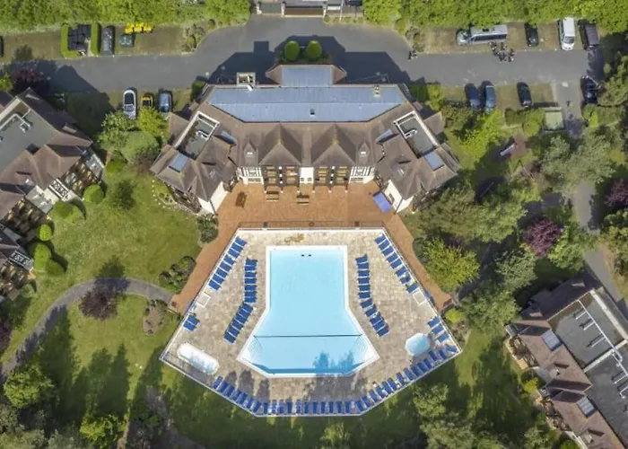 Le Swing De Bacchus * Deauville